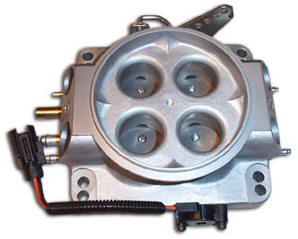 Throttle body with TPS